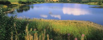 Cottages in Lacapelle-Viescamp