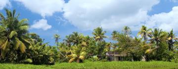 Hoteles en Kannur