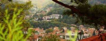 Hotels in Tryavna