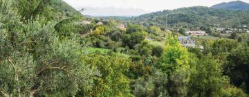 Holiday Rentals in Torre Orsaia