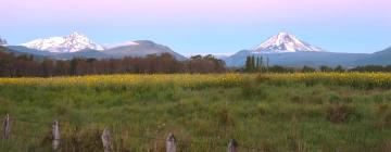 Lodges in Malalcahuello