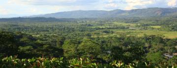 Guest Houses in Moyobamba