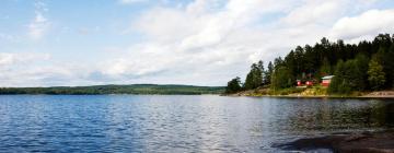 Cheap vacations in Arvika