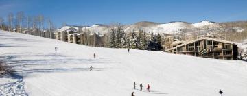 Hoteles con estacionamiento en Snowmass