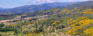 Guest Houses in Manteigas