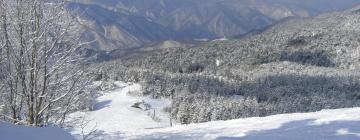 Ski Resorts in Iiyama