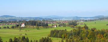 Hôtels avec parking à Pliezhausen