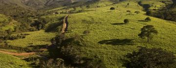 Hotéis que Aceitam Animais de Estimação em Monte Sião