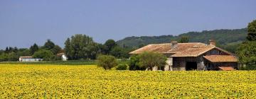 Cottages in Orthevielle