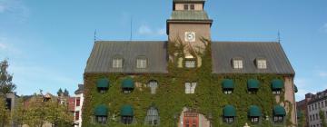 Hotels in Lillehammer