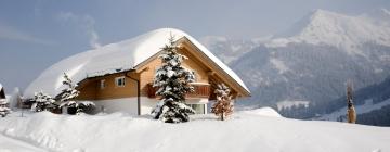 Apartments in Mittelberg