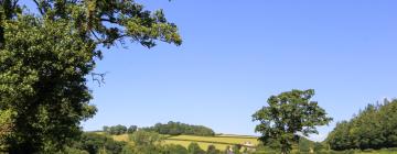 Cottages in Cenarth