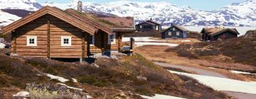 Vacation Rentals in Tyinkrysset