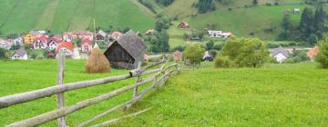 Guest Houses in Moieciu de Jos