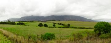 Hotelek Swellendamban