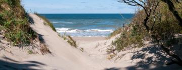 Alquileres temporarios en Weissenhäuser Strand