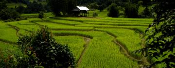 Hoteles en Mae Rim