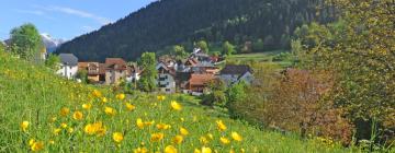 Holiday Rentals in Comeglians