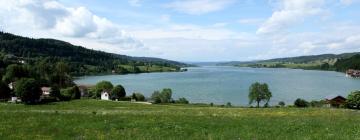 Hotels in Clairvaux-les-Lacs