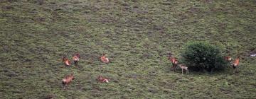 Lodges in Amakhala Game Reserve