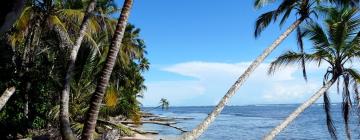 Cabins in Cahuita