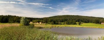 Hotels met Parkeren in Waltersdorf