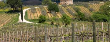 Agroturismos en San Quirico dʼOrcia