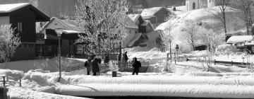 Hoteles en Immenstadt im Allgäu