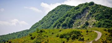 Hoteluri în Lamporecchio