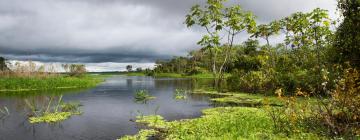 Hoteles baratos en Pucallpa