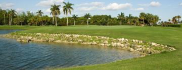 Hotels in Doral