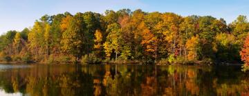 Medencével rendelkező hotelek Wake Forestben