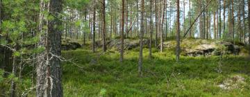 Hotel dengan parkir di Jämijärvi