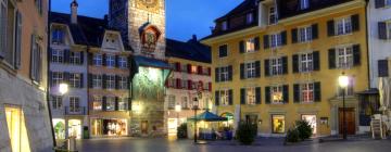 Haustierfreundliche Hotels in Solothurn
