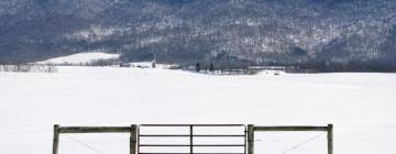 Hôtels acceptant les animaux domestiques à Fayetteville