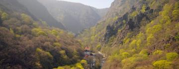 Guest Houses in Thale