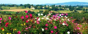 Holiday Rentals in Neuf-Église