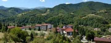 Hotels in Ribarica