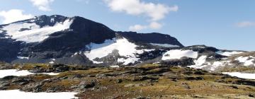 Høyanger şehrindeki otoparklar