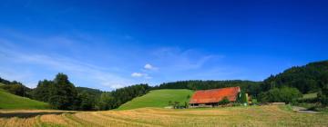 Ferienwohnungen in Großalmerode