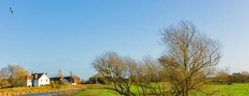 Cottages in Nafferton