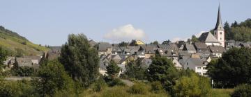 Apartments in Enkirch