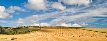 Hoteles en Lower Beeding