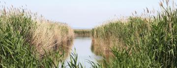 Hoteles con parking en Weiden am See