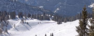 Ski Resorts in Alpendorf