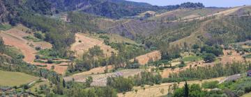 Pet-Friendly Hotels in Gambarie dʼAspromonte