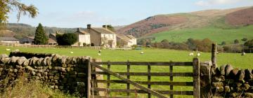 Cottages in Huby