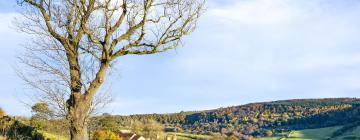 Cottages in Glaisdale