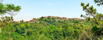 Apartments in Marti