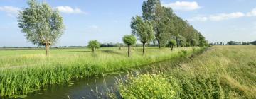 Vakantiewoningen aan het strand in Ravenswoud